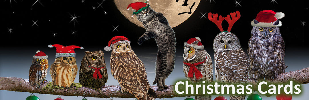 Christmas Cards