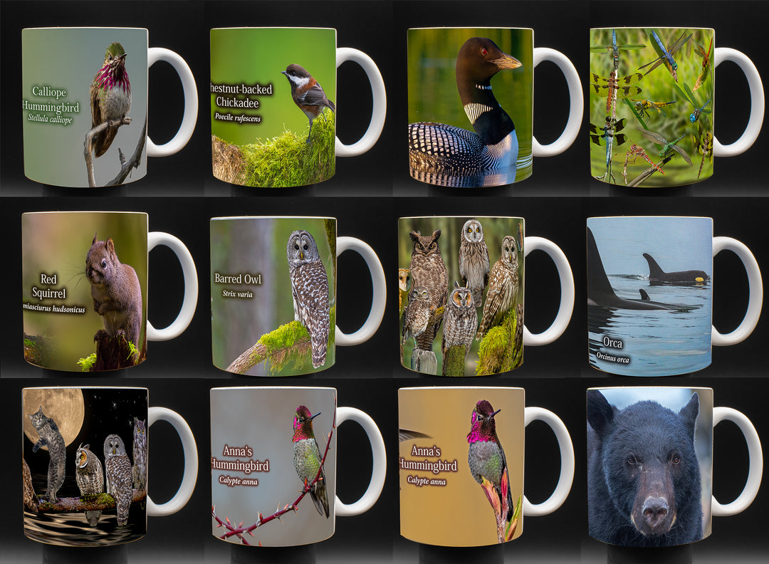 Drinkware - Mugs and Water Bottles