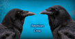 11oz Mug  - AMCR 003  - American Crow