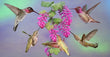 11oz Mug - ANHU 008 - Anna's Hummingbird