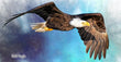 11oz Mug - BAEA 002  - Bald Eagle