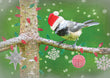 Christmas Card - BC Chickadee 2023 6-pk