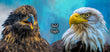 11oz Mug - BAEA 003  - Bald Eagle