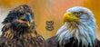 11oz Mug - BAEA 005  - Bald Eagle