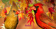 11oz Mug - CARD 001  - Cardinal