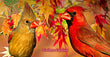 11oz Mug - CARD 001 - Northern Cardinal