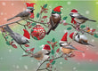 Christmas Card - Chickadee Christmas 2023 6-pk