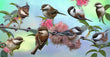 11oz Mug - CHIC 002  - Chickadees
