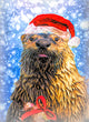 Christmas Card - Santa Otter Christmas 2023 6-pk