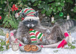 Christmas Card - Raccoon Milk and Cookies 2023 6-pk