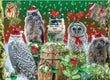 Christmas Card - Hoo Hoo Hooo 2023 6-pk