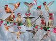 Christmas Card - Hummingbirds Christmas 2023 6-pk