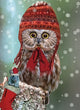 Christmas Card - Northern Saw whet Owl Toque 2023 6-pk