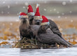 Christmas Card - Otters Christmas 2023 6-pk