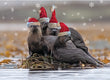 Christmas Card - Otters Christmas 2023   6-pk