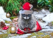 Christmas Card - Raccoon Kid 6-pk