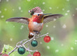 Christmas Card - Rufous Christmas 2025  6-pk