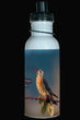 600ml Water Bottle - AMKE 001 - American Kestrel