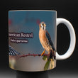 11oz Mug - AMKE 001 - American Kestrel
