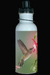 600ml Water Bottle - ANHU 001 - Anna's Hummingbird