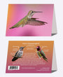 5" x 7" Cards - ANHU 6881 - Anna's Hummingbird 6-pk