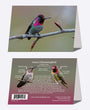 5" x 7" Cards - ANHU 7755 - Anna's Hummingbird 6-pk