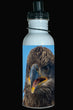 600ml Water Bottle - BAEA 001 - Bald Eagle