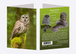 5" x 7" Cards - BAOW 1002 - Barred Owl 6-pk