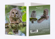 5" x 7" Cards - BAOW 3688 - Barred Owl 6-pk