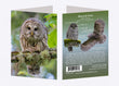 5" x 7" Cards  -  BAOW 3688  - Barred Owl 6-pk
