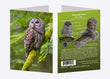 5" x 7" Cards - BAOW 6124 - Barred Owl 6-pk