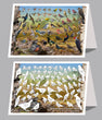 6"x 9" Card  -  Backyard Birds of Northern Alberta 6"x 9" Card 6-pk
