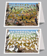 6"x 9" Card - Backyard Birds of Northern Alberta 6"x 9" Card 6-pk