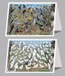 6"x 9" Card - Backyard Birds of the BC Interior 6-pk