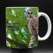 11oz Mug - BAOW 002  - Barred Owl
