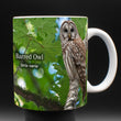 11oz Mug - BAOW 002 - Barred Owl
