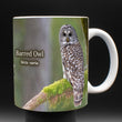 11oz Mug - BAOW 003  - Barred Owl