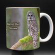11oz Mug - BAOW 003 - Barred Owl