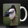 11oz Mug - BBMA 001 - Black-billed Magpie