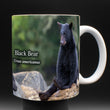11oz Mug - BLBE 003  - Black Bear