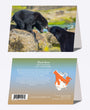 5" x 7" Cards - BLBE 1342 - Black Bears 6-pk