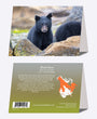 5" x 7" Cards - BLBE 2524 - Black Bear 6-pk