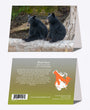 5" x 7" Cards - BLBE 3736 - Black Bear 6-pk