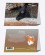 5" x 7" Cards - BLBE 4258 - Black Bear 6-pk