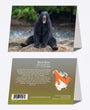 5" x 7" Cards - BLBE 4546 - Black Bear 6-pk