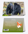 5" x 7" Cards - BLBE 5346 - Black Bear 6-pk