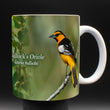 11oz Mug - BUOR 001 - Bullock's Oriole