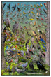 24" x 36" Poster  -  Backyard Birds of the West