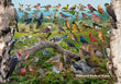 11" x 17" Placemat - Backyard Birds of Maine -Wholesale Ordering Only