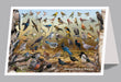 6"x 9" Card - Backyard Birds of Montana - 6pk